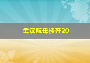 武汉航母楼歼20