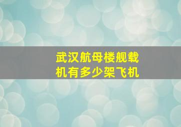 武汉航母楼舰载机有多少架飞机