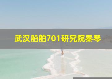 武汉船舶701研究院秦琴