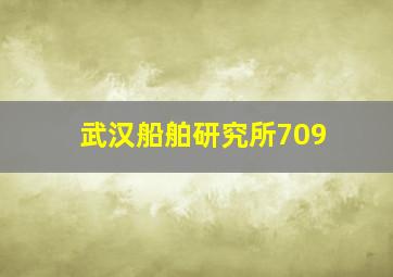 武汉船舶研究所709