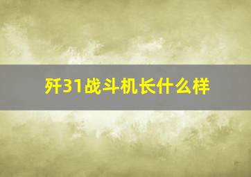 歼31战斗机长什么样