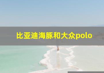 比亚迪海豚和大众polo