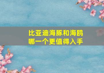 比亚迪海豚和海鸥哪一个更值得入手