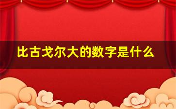 比古戈尔大的数字是什么