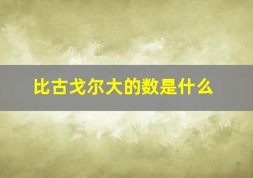 比古戈尔大的数是什么