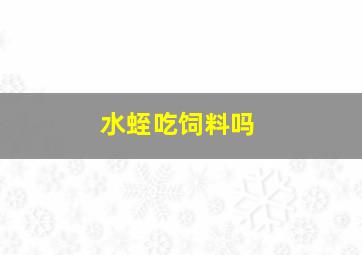 水蛭吃饲料吗