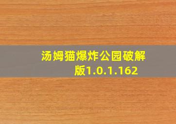 汤姆猫爆炸公园破解版1.0.1.162