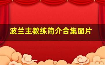 波兰主教练简介合集图片