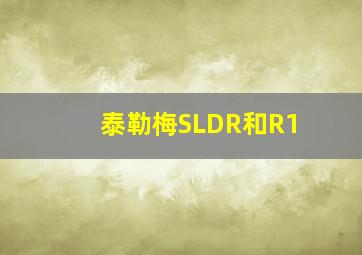 泰勒梅SLDR和R1