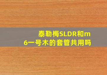 泰勒梅SLDR和m6一号木的套管共用吗