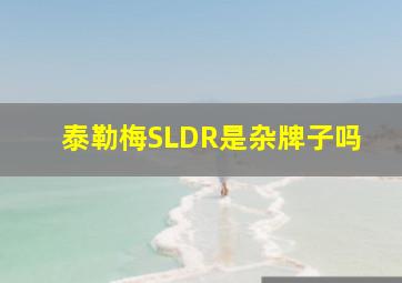 泰勒梅SLDR是杂牌子吗