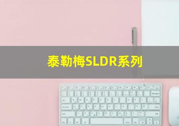 泰勒梅SLDR系列