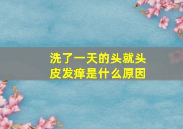 洗了一天的头就头皮发痒是什么原因