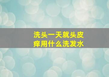 洗头一天就头皮痒用什么洗发水