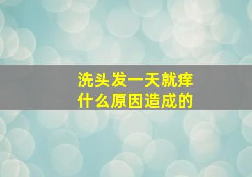 洗头发一天就痒什么原因造成的