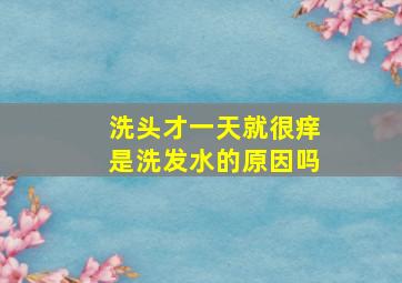 洗头才一天就很痒是洗发水的原因吗