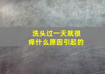 洗头过一天就很痒什么原因引起的