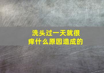 洗头过一天就很痒什么原因造成的