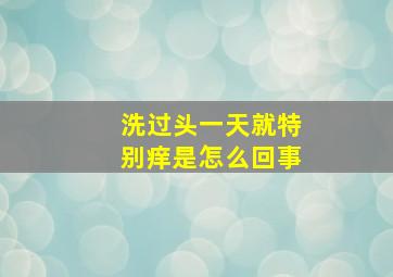 洗过头一天就特别痒是怎么回事