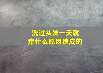 洗过头发一天就痒什么原因造成的