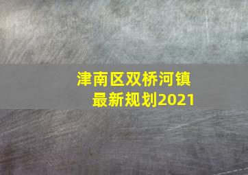 津南区双桥河镇最新规划2021