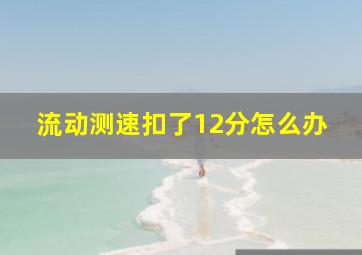 流动测速扣了12分怎么办