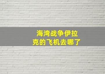 海湾战争伊拉克的飞机去哪了