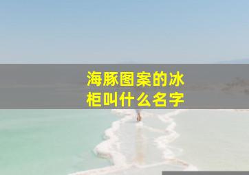 海豚图案的冰柜叫什么名字