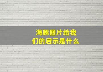 海豚图片给我们的启示是什么