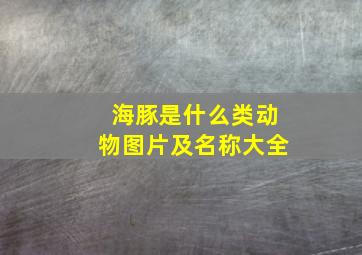 海豚是什么类动物图片及名称大全