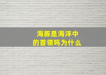 海豚是海洋中的首领吗为什么