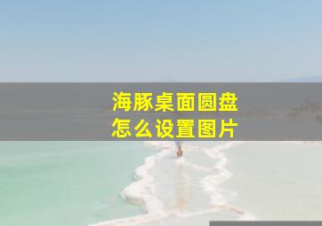 海豚桌面圆盘怎么设置图片