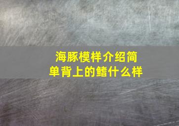 海豚模样介绍简单背上的鳍什么样