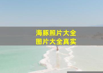 海豚照片大全图片大全真实