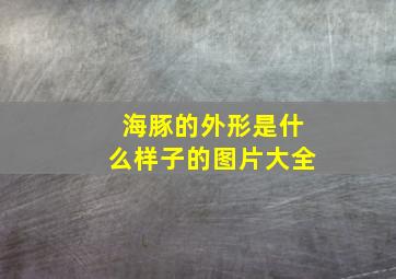 海豚的外形是什么样子的图片大全