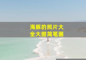 海豚的照片大全大图简笔画