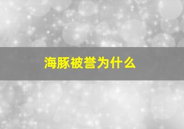 海豚被誉为什么