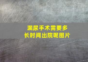 漏尿手术需要多长时间出院呢图片