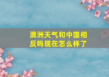 澳洲天气和中国相反吗现在怎么样了