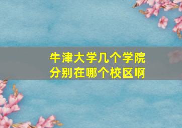 牛津大学几个学院分别在哪个校区啊