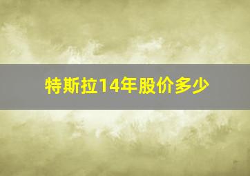 特斯拉14年股价多少