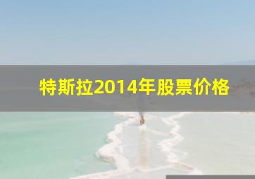 特斯拉2014年股票价格