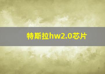 特斯拉hw2.0芯片