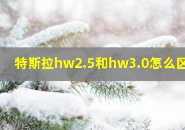 特斯拉hw2.5和hw3.0怎么区分