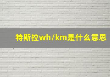 特斯拉wh/km是什么意思