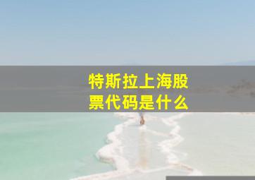 特斯拉上海股票代码是什么