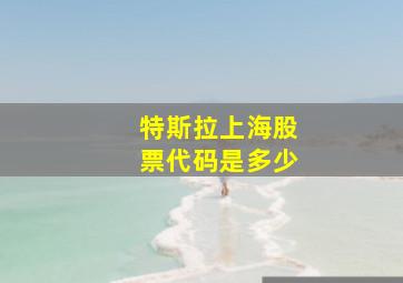 特斯拉上海股票代码是多少