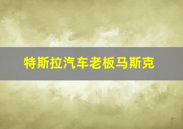 特斯拉汽车老板马斯克