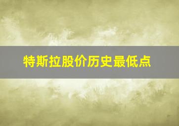 特斯拉股价历史最低点