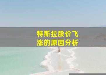 特斯拉股价飞涨的原因分析